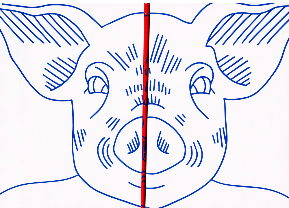 scan illu nouveau jeu nouvelles regles