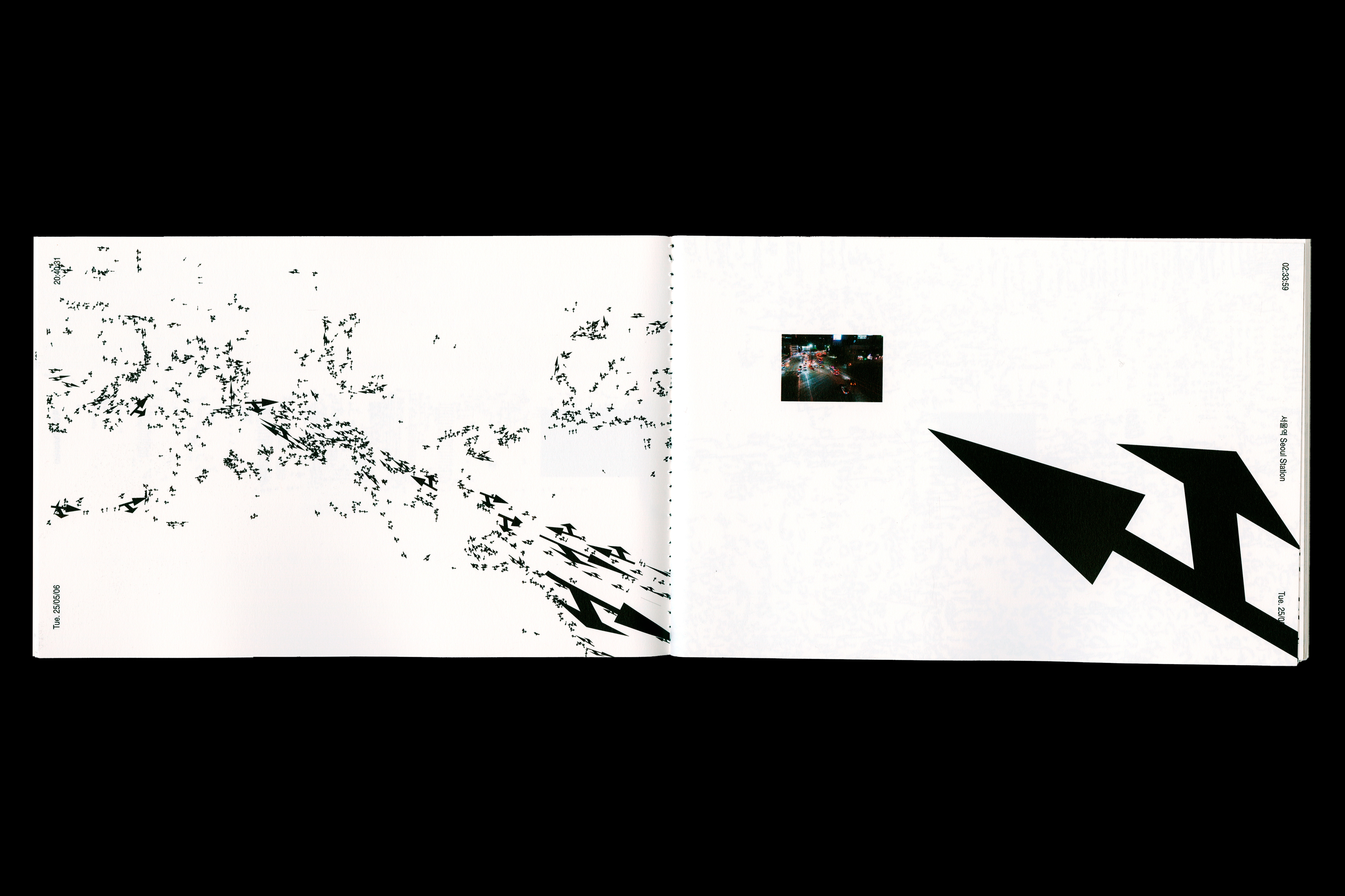 photo main double page photo rose